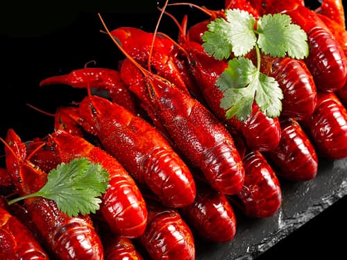 盐边小龙虾培训